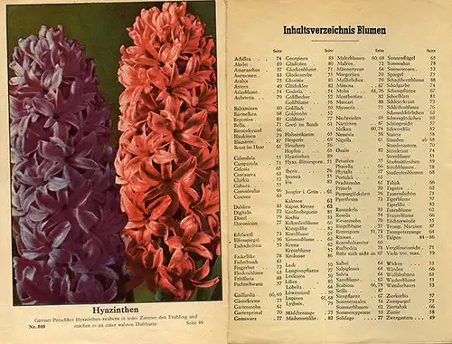 Rhein Westfalen Neuss Garten Blumen Pötschke Samen Handlung Garten Buch 1948