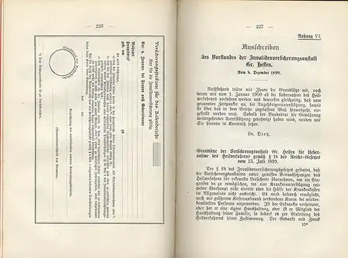 Großherzogtum Hessen Unfall Rente Invaliden Versicherung Gesetz 1899