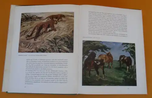 Kunst Malerei Pfalz Impressionismus Pferde Tiere der Maler Otto Dill Buch 1960