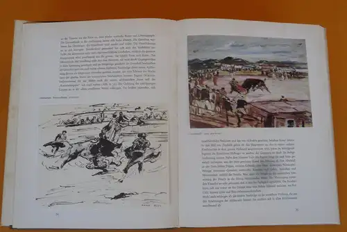 Kunst Malerei Pfalz Impressionismus Pferde Tiere der Maler Otto Dill Buch 1960