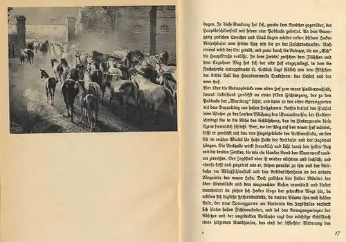 Ostpreußen Pferde Zucht Gestüt Trakehnen Geschichte Foto Bildband 1937