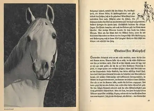 Ostpreußen Pferde Zucht Gestüt Trakehnen Geschichte Foto Bildband 1937