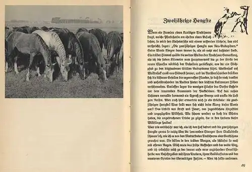 Ostpreußen Pferde Zucht Gestüt Trakehnen Geschichte Foto Bildband 1937