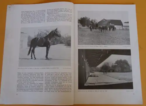 München Daglfing Reiten Pferde Rennsport Trabrenn Zucht Verein Festschrift 1937