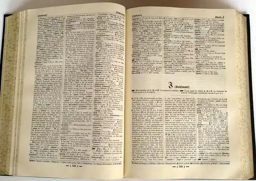 Sprachen Französisch-Deutsches Deutsch- Französisches Wörterbuch 2 Bände 1908