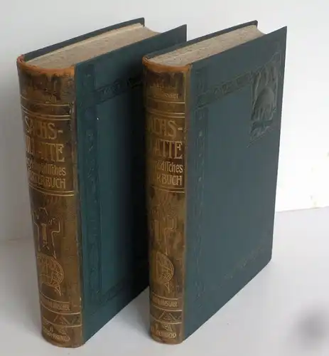 Sprachen Französisch-Deutsches Deutsch- Französisches Wörterbuch 2 Bände 1908