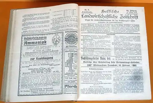 Hessen Landwirtschaft Obst Gartenbau Geflügel Pferdezucht Zeitschrift von 1914