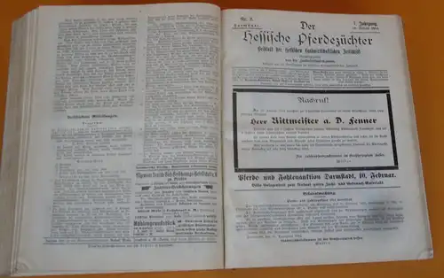Hessen Landwirtschaft Obst Gartenbau Geflügel Pferdezucht Zeitschrift von 1914