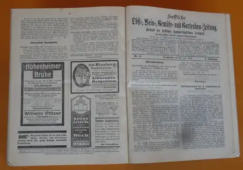 Hessen Landwirtschaft Obst Gartenbau Geflügel Pferdezucht Zeitschrift von 1914