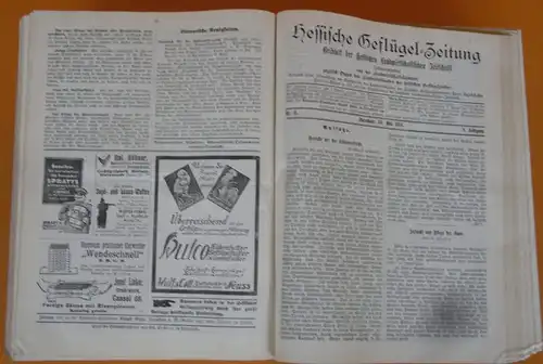 Hessen Landwirtschaft Obst Gartenbau Geflügel Pferdezucht Zeitschrift von 1914