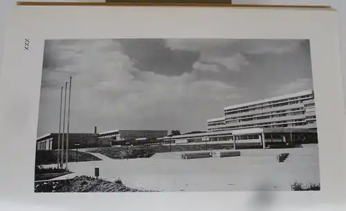 Hessen Nassau Westerwald 650 Jahre Hadamar Geschichte Chronik Heimatbuch 1974