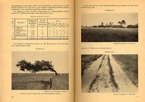 Schleswig Holstein Nordsee Ostsee Geest Dünen Wind Natur und Küstenschutz 1953 