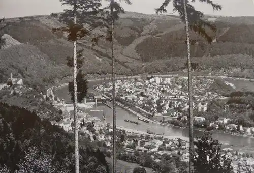 Hessen Odenwald Neckar 1000 Hahre Hirschhorn Stadt Geschichte Festschrift 1973