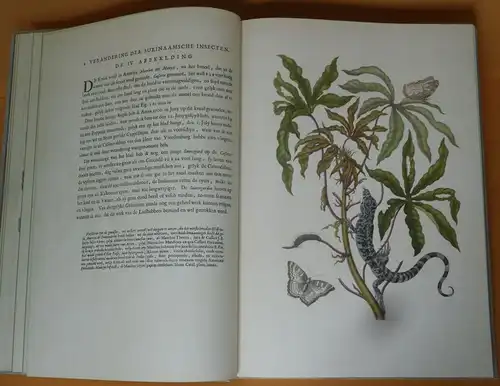 Botanik Surinam Pflanzen Schmetterlinge Maria Sibylla Merian Faksimile 1975