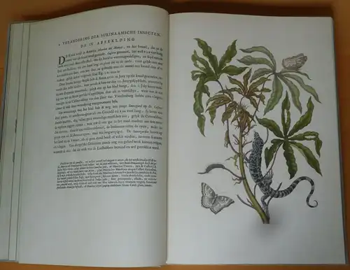  Botanik Surinam Pflanzen Schmetterlinge Maria Sibylla Merian Faksimile 1975