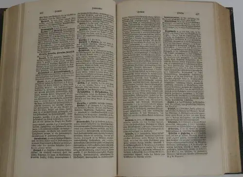 Deutsch Fremdwörterbuch Aussprache Betonung Heyse Halbleder Hannover 1875