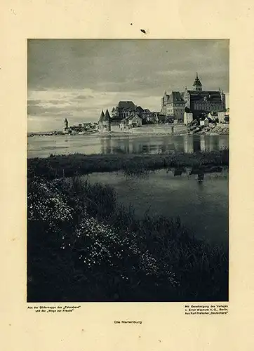 Westpreußen Marienburg Schiffsbrücke 2 Original Foto Aufnahmen Berlin 1906