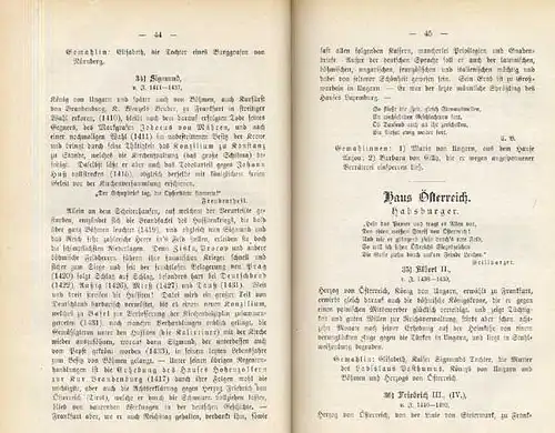 Frankfurt Main Mittelalter Römer Deutsche Kaiser Bilder Galerie Führer 1893