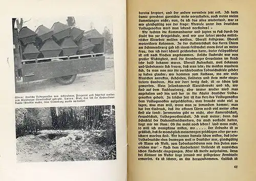 Westpreußen Posen Bromberg Bluttage Massaker an Volksdeutschen Buch 1939