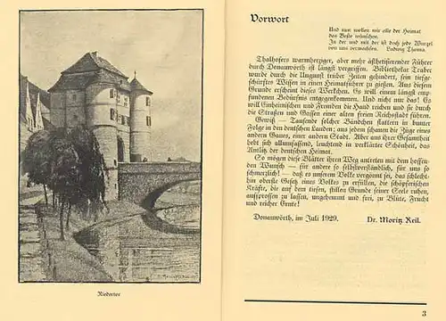 Bayern Donau Schwaben Donauwörth Stadt Geschichte Reiseführer 1929