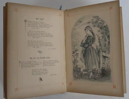 Kaiserreich Kunst Dichtung Mädchen Poesie Herz Schmerz Liebe Verse Lieder 1892