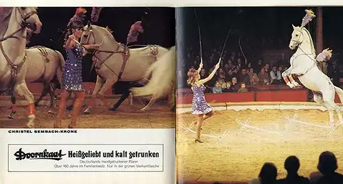 Werbung Reklame München Zirkus Krone Artist Programm Heft Prospekt 1971