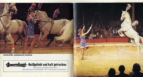 Werbung Reklame München Zirkus Krone Artist Programm Heft Prospekt 1971  