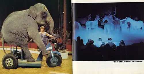 Werbung Reklame München Zirkus Krone Artist Programm Heft Prospekt 1971  