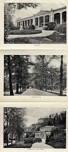 Schwarzwald Kurort Baden Baden altes Leporello Bilder Album um 1910