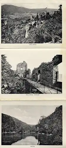 Schwarzwald Kurort Baden Baden altes Leporello Bilder Album um 1910 