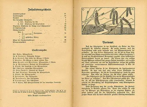 Deutschland Schule Biologie Schulgarten Unterricht Pflanzenkunde Buch 1935