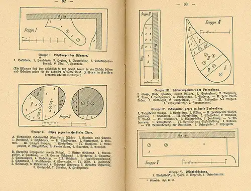 Deutschland Schule Biologie Schulgarten Unterricht Pflanzenkunde Buch 1935