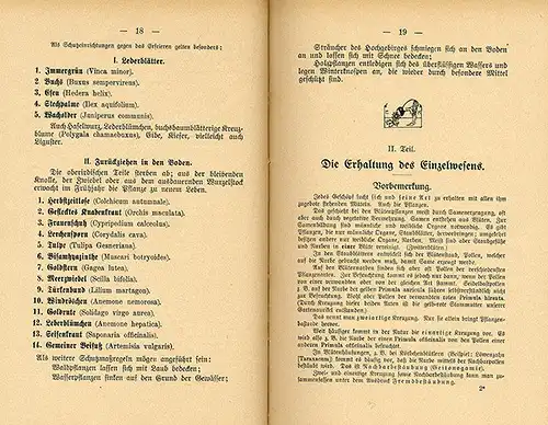 Deutschland Schule Biologie Schulgarten Unterricht Pflanzenkunde Buch 1935