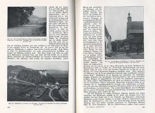 Württemberg Schwaben Stuttgart Ulm Isny Tübingen Urach Enz Hegau Buch 1925