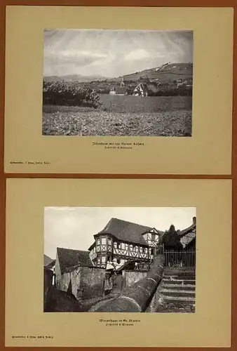 Rhein Pfalz Weinstraße Gollheim Geinsheim Ilbesheim St. Martin Foto Mappe 1921