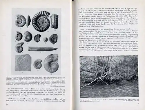 Württemberg Kirchheim Teck Geologie Natur Geschichte Heimatkunde Buch 1950