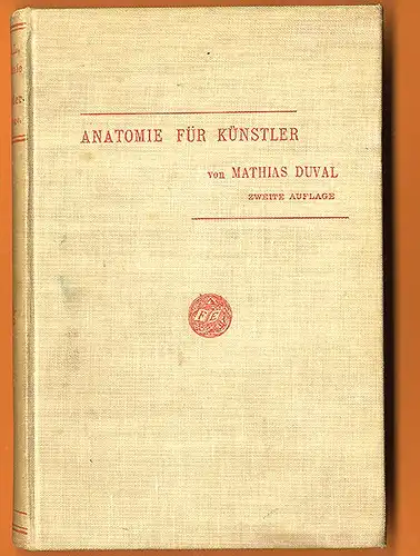 Kunst Malerei Medizin Grundlagen der Anatomie für Künstler Muskeln Körperbau