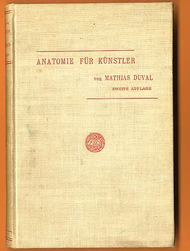 Kunst Malerei Medizin Grundlagen der Anatomie für Künstler Muskeln Körperbau 