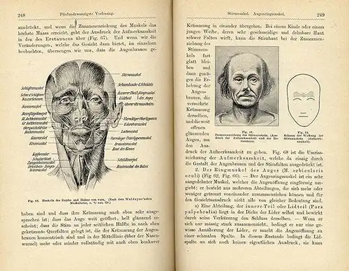 Kunst Malerei Medizin Grundlagen der Anatomie für Künstler Muskeln Körperbau 