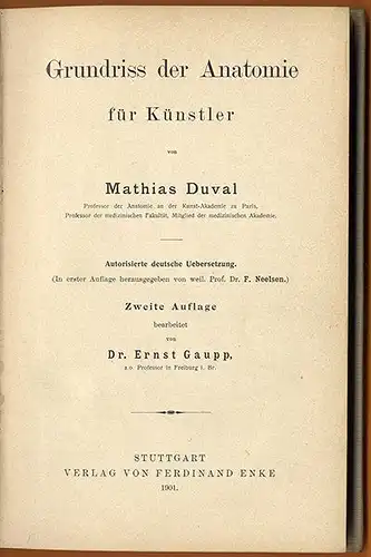 Kunst Malerei Medizin Grundlagen der Anatomie für Künstler Muskeln Körperbau 