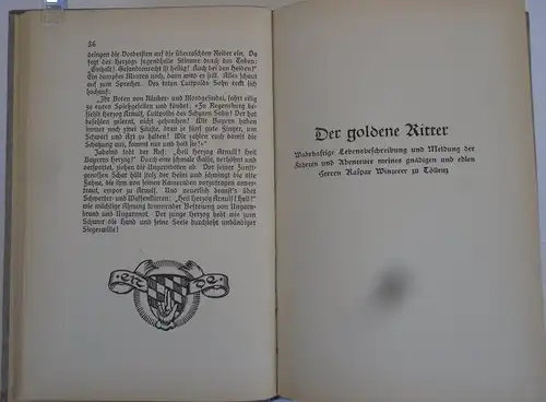 Bayern Mittelalter Geschichte Ungarnschlacht Ritter von Tölz Herzog Eugen Buch