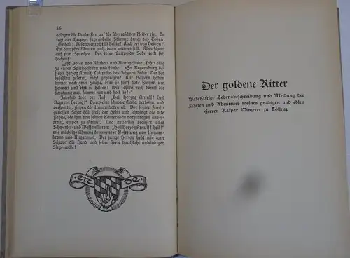 Bayern Mittelalter Geschichte Ungarnschlacht Ritter von Tölz Herzog Eugen Buch 