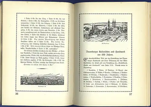 Sachsen Anhalt Saale Naumburg Mittelalter Stadt Geschichte Architektur Buch 1897