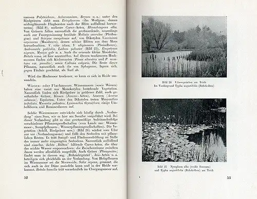 Bayern München Botanischer Garten Freilandanlagen Pflanzen Führer 1941 