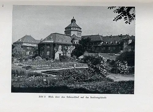 Bayern München Botanischer Garten Freilandanlagen Pflanzen Führer 1941 