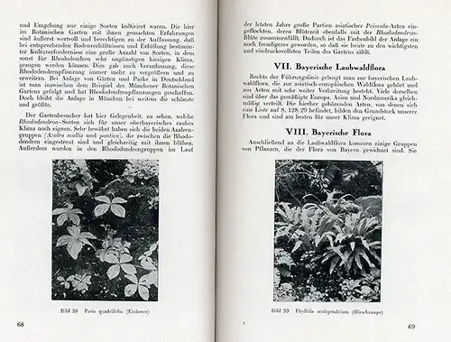 Bayern München Botanischer Garten Freilandanlagen Pflanzen Führer 1941 