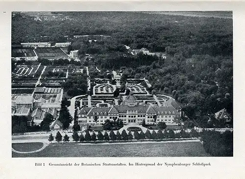 Bayern München Botanischer Garten Freilandanlagen Pflanzen Führer 1941 