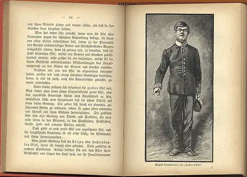 Theater Bühne Humor Kaberett Parodien Fritz Reuter von August Junkermann 1899