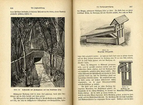 Jagd Wald Waidwerk Jäger Praxis Prüfung Waffenkunde Lehrbuch 1922