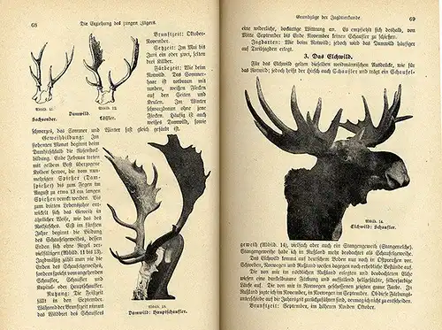 Jagd Wald Waidwerk Jäger Praxis Prüfung Waffenkunde Lehrbuch 1922